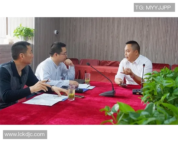 北京羽毛球队灵活性分析与战术调整的深度探讨